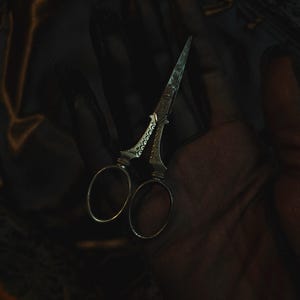 Antique embroidery scissors