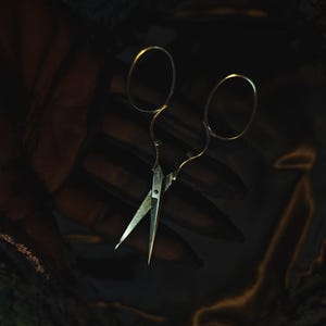 Antique embroidery scissors