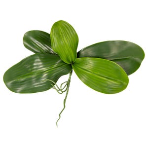 Orchid Leaves and Roots Phalaenopsis - 23cm (9&quot;) • Lush Green Artificial Orchid Plant Stem for Home, Office, Floral Decor & DIY Arrangements