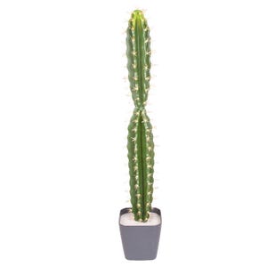 Große künstliche Kaktuspflanze - Künstlicher Orgelpfeifenkaktus im Topf - 80 cm / 31&quot;- Grüne Indoor-Wüstenpflanze für Zuhause & im Bürodekor.