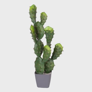 Realistischer Faux Opuntia Kaktus im anthrazitfarbenen Topf - 72cm Home & Office Decor