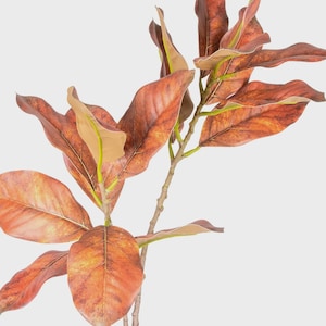Brown Faux Magnolia Branch - 75 cm (29.5 in.) Real Touch Artificial Stem for Rustic Fall Decor, Home, Cafe, Office Styling, Vase Arrangement