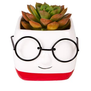 Funny Face Ceramic Planter with Glasses: Colorful Succulent Pot