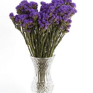 Preserved Statice (Limonium Sinuatum) Bouquet 50 cm – Shocked Dried Flowers for Home, Wedding & DIY Arrangements