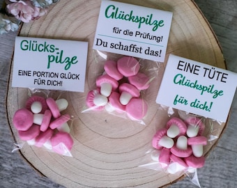 Druckvorlage, 1 Tüte Glückspilze, Prüfung, Fahrprüfung, Abiprüfung, Tüte Glück, Geschenk, Glücksgeschenk, Kleinigkeit, Freundin, Kind, PDF