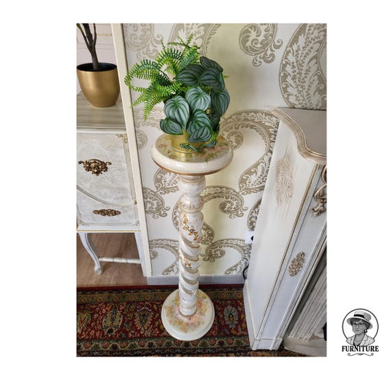 japanese money tree plant The Dinero main image 1