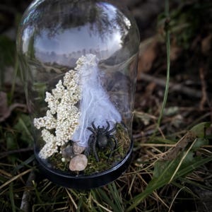 Spider and Flower Terrarium