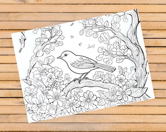 Animal Coloring Pages: Woodland Animal Coloring Book (Digital Download)