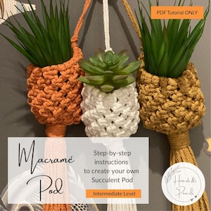 Macramé Succulent Pod Tutorial - step-by-step instructions to create your hanger