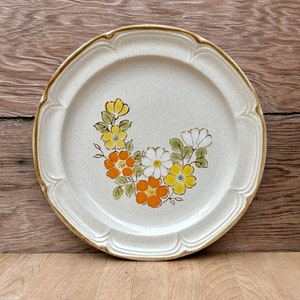 Set of 2 Hearthside Spring Garden Baroque 11” Dinner Plates - MCM 70’s Stoneware Japan Ovensafe