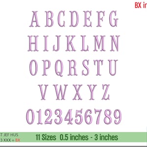 Puede incluir: Un conjunto completo de alfabeto y n&uacute;meros en un delicado color p&uacute;rpura claro. Las letras y los n&uacute;meros se muestran en una fuente serif, con tama&ntilde;os que var&iacute;an de 1,3 cm a 7,6 cm. El texto "BX included" y "11 Sizes 0.5 inches - 3 inches" est&aacute; incluido.