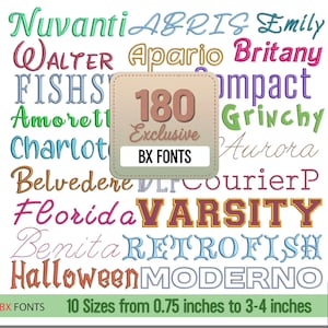 Può includere: Un'immagine che mostra una collezione di font ricamati in vari stili e colori. L'immagine presenta il testo "180 Exclusive BX FONTS" e dettagli sulle dimensioni da 1,9 cm a 8,6 cm. I font includono script, serif e decorativi.