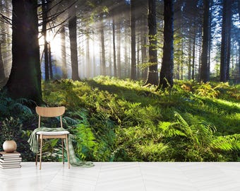 Forest Wallpaper Mural: Green Woodland Sunset Scenery, Peel and Stick Non-Woven