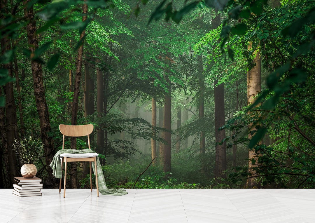 Green Forest Wallpaper: Rainforest Wall Mural, Peel and Stick - Etsy