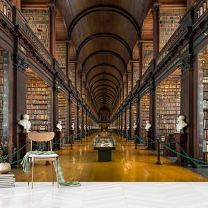 Puede incluir: Interior de biblioteca simétrico con filas de estanterías llenas de libros. El techo de madera se arquea por encima, y bustos bordean el pasillo. Una silla de madera y libros están en primer plano.