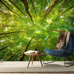 Mystical Green Forest Sunlight Wallpaper,Green Forest  Wall Decor,Sunlight Wall Art,Self-Adhesive, Peel And Stick,Non Woven