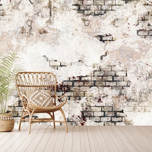 Puede incluir: Una silla de mimbre con un cojín estampado se encuentra frente a una pared de ladrillo desgastada con pintura blanca descascarada. La pared tiene salpicaduras de pintura roja y una planta en maceta está a la izquierda de la silla.
