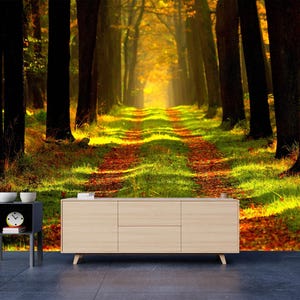 Summer Forest Wallpaper Peel and Stick,Green Grass Trees Woodland Sunset Scenery Mural,Forest View,Self Adhesive,Peel and Stick,Non-Woven