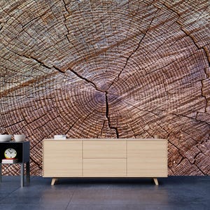 Tree Rings Texture Wallpaper: Wood Stump Wall Mural (Peel and Stick)