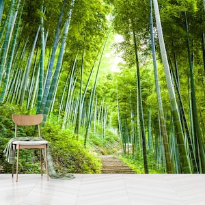 Bamboo for Wall Decoration: Stunning Eco-Friendly Design Ideas