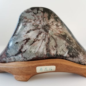 水石 山と滝 鑑賞石 盆栽 禅 日本 安倍川 476g - Etsy 日本