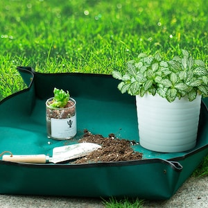 Può includere: Un vassoio da giardinaggio verde con un bordo nero, una piccola paletta e due piante in vaso. Una pianta è una succulenta in un barattolo di vetro trasparente con un'etichetta che dice "Succulenta". L'altra pianta è una pianta verde a foglia in un vaso bianco. C'è del terriccio sciolto nel vassoio.