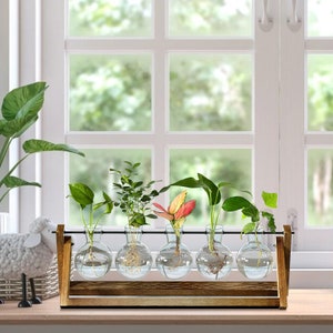 Plant Propagation Station Bulb Glass Vase with Wooden Stand Propagation Display Desktop Hydroponics Plant Glass Terrarium Vase