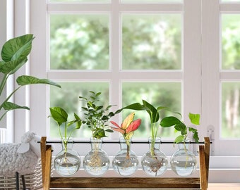 Plant Propagation Station Bulb Glass Vase with Wooden Stand Propagation Display Desktop Hydroponics Plant Glass Terrarium Vase