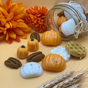 Pompoen-pecannootwafelsmelts, herfstgeparfumeerde waxmelts, herfstdecor, pompoengeur, sterke waxmelts, sojawassmelts