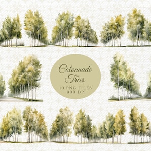 Clipart di alberi della foresta dell'acquerello, colonnato dell'acquerello, regalo albero Decore PNG, pianificatore digitale, invito a nozze nel verde, regalo per gli amanti degli alberi