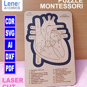 Herzpuzzle, Montessori-Spielzeug, Vorschul-Lerngeschenke für Kinder, Aktivitätsspielzeug, SVG PDF CDR Digitale Datei