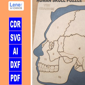 May include: A wooden puzzle of a human skull, labeled with numbers 1 through 12. The puzzle is titled "Human Skull Puzzle" and "The Cranium".