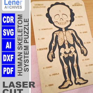 Puede incluir: Un rompecabezas de madera de un esqueleto humano con etiquetas numeradas para cada hueso. El rompecabezas está diseñado para que los niños aprendan sobre el cuerpo humano. El rompecabezas está hecho de madera natural y tiene un color marrón claro.