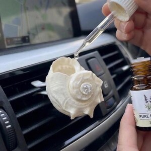 May include: A decorative white seashell car air freshener is being filled with essential oil from a small brown bottle. The bottle is labelled "PURE BLEND" and contains 5ml of oil.