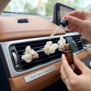 Puede incluir: Un difusor de ventilación para automóvil con tres adornos blancos en forma de coral. Se sostiene una pequeña botella de vidrio marrón y un cuentagotas cerca de los adornos. El texto "Reef Vent Collection" está en una placa plateada.