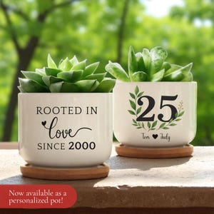 Pu&ograve; includere: Due vasi di ceramica bianca con succulente verdi. Un vaso recita "ROOTED IN love SINCE 2000". L'altro mostra il numero "25" con foglie e i nomi "Tom &hearts; Judy". Entrambi poggiano su sottovasi di legno.