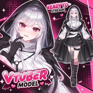 Op maat gemaakt Vtuber-model in Live2D | Karakterontwerp en rigging