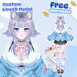 Anpassad Vtuber-modell: Live2D-provision, Vtuber-tillgångar, riggning