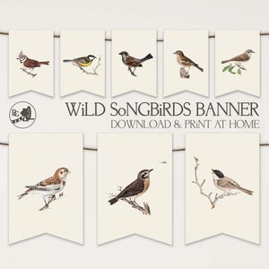 Bannière festive oiseaux chanteurs sauvages à imprimer | Bruant d&#39;oiseau vintage | TÉLÉCHARGEMENT instantané d&#39;art mural guirlande en papier | 114 Moulin à nids d&#39;abeilles