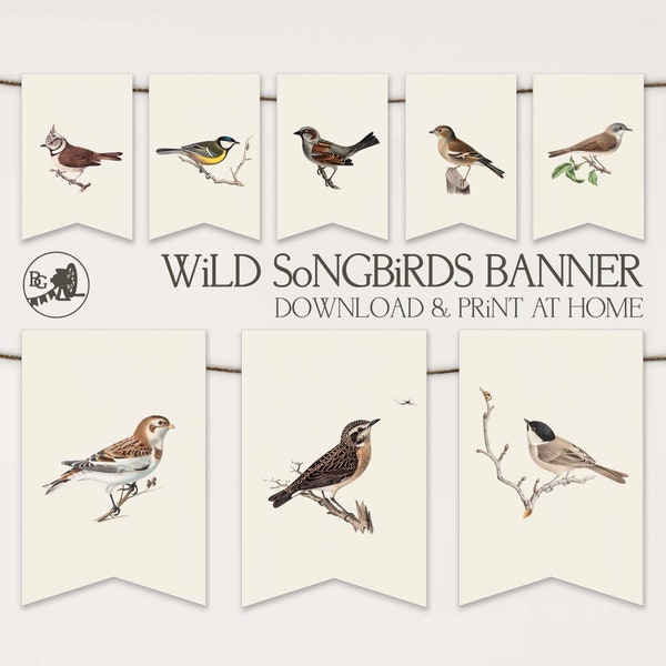 Wild Songbirds Party Banner PRINTABLE Bunting Flags | Vintage Bird Bunting | Instant DOWNLOAD Paper Garland Wall Art | 114 Bunting Grinder