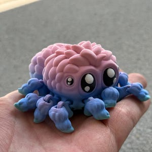 Könnte beinhalten: Ein 3D-gedrucktes Spielzeugspinne in Rosa- und Blautönen. Die Spinne hat große, cartoonartige Augen und acht Beine. Der Körper hat einen Farbverlauf von Rosa zu Blau, und die Beine sind blau mit rosa Spitzen. Das Spielzeug wird in einer Hand gehalten. Ein skurriles, farbenfrohes Design.