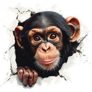 Lindo paquete de conjunto de imágenes prediseñadas de chimpancé, 10 imágenes de alta calidad, ropa, artesanía de papel, impresiones digitales, arte de pared, papel tapiz, uso comercial.
