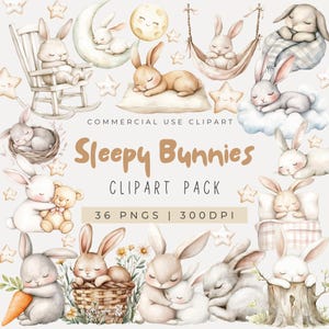 Aquarel slaperige konijntjes clipart, slapende konijntjes, slapende konijnen, decor kinderkamer, bunny babyshower, boho bunny clipart, baby konijntje, png
