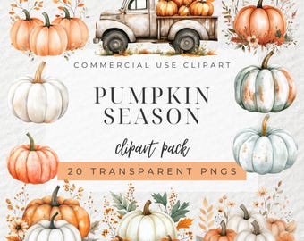 Watercolor Pumpkin Clipart, Autumn Clipart, Fall Clipart, Fall Pumpkin, Thanksgiving Pumpkin, Halloween, White Pumpkin, Floral Pumpkins, PNG