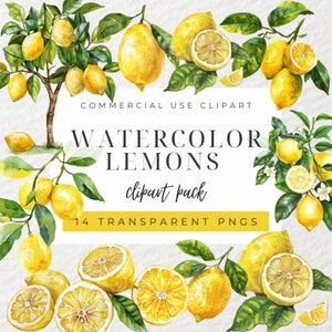 Watercolor Lemons Clipart, Lemon Twig Clipart, Citrus Fruit Clipart, Summer Clipart, Fruit Clipart, Mediterranean Lemons Clipart, PNG