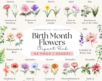 Aquarel geboortemaand bloemen clipart, geboortemaand bloemboeket, bloemen illustratie, geboortebloemen, antieke bloemen, doe-het-zelf, verjaardagsbloem