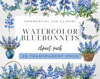 May include: A set of 20 watercolor bluebonnet clipart images. The images are in PNG format and are transparent. The images are perfect for use in commercial projects.