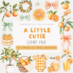 Clipart acquerello arancione piccola carina, Clipart frutta arancione, Una piccola carina è in arrivo, Clipart agrumi, Clipart baby shower, PNG arancione