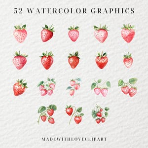 Puede incluir: 52 gr&aacute;ficos de acuarela de fresas. Algunas son fresas individuales, otras son racimos de fresas con hojas verdes.