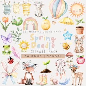Watercolor Spring Doodle Clipart, Insect Clipart, Baby Animal Clipart, Nursery Decor, Spring Florals, Weather, Garden, Springtime, Planner